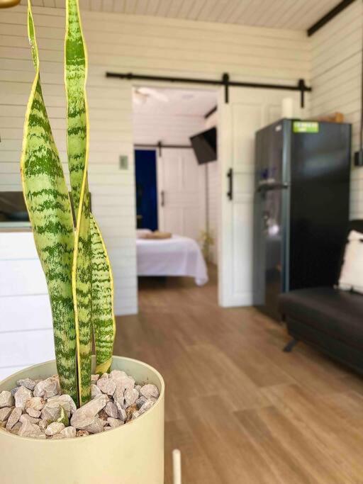 Apartmán Hoja Azul Loft Guanacaste Hojancha Exteriér fotografie